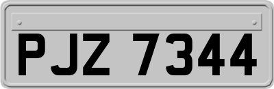 PJZ7344
