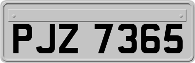 PJZ7365