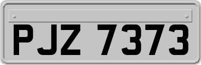 PJZ7373