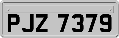 PJZ7379