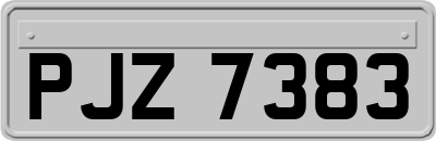 PJZ7383