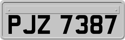 PJZ7387