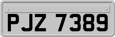 PJZ7389