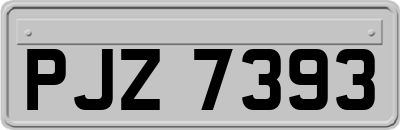 PJZ7393