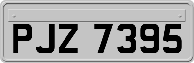 PJZ7395