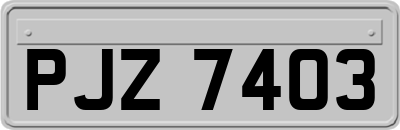 PJZ7403