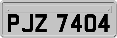 PJZ7404
