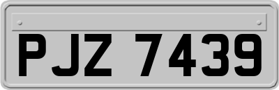 PJZ7439