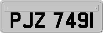 PJZ7491