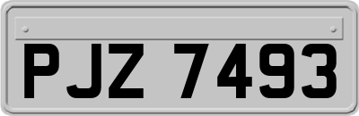 PJZ7493
