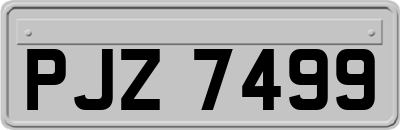 PJZ7499