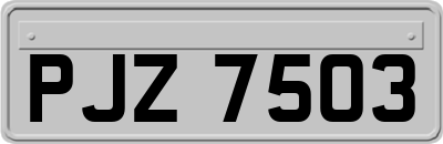PJZ7503