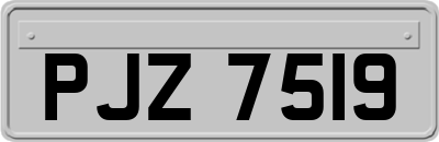 PJZ7519