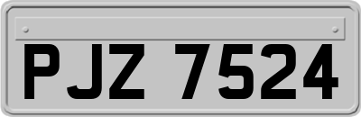 PJZ7524