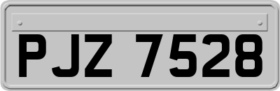 PJZ7528
