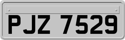 PJZ7529