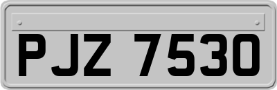 PJZ7530