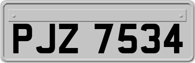 PJZ7534