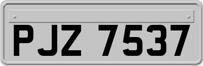 PJZ7537