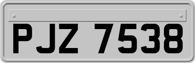 PJZ7538