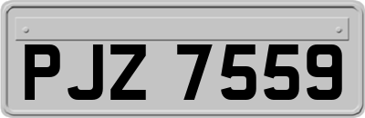 PJZ7559