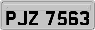 PJZ7563
