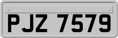PJZ7579