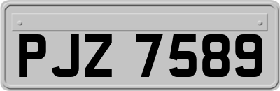 PJZ7589