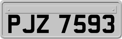 PJZ7593