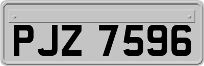 PJZ7596
