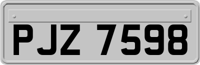 PJZ7598