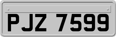 PJZ7599