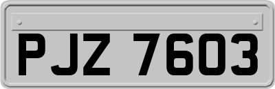 PJZ7603