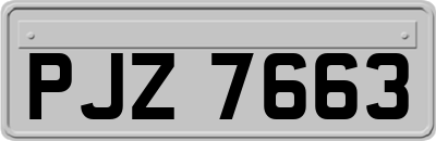 PJZ7663