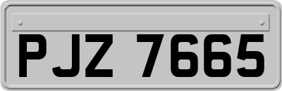 PJZ7665