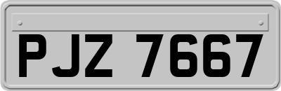 PJZ7667