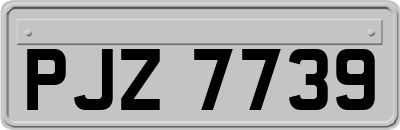PJZ7739