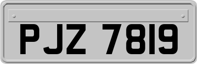 PJZ7819