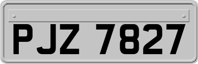 PJZ7827