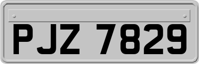 PJZ7829