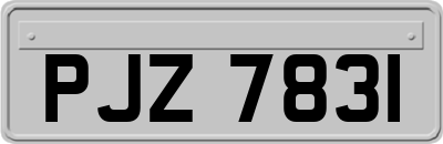 PJZ7831