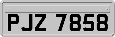 PJZ7858