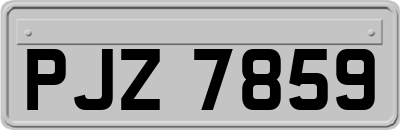 PJZ7859