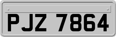 PJZ7864
