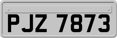 PJZ7873