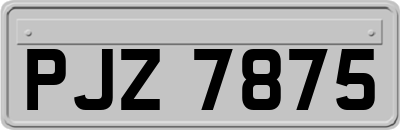 PJZ7875