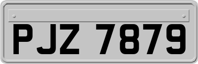 PJZ7879