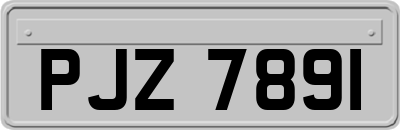 PJZ7891