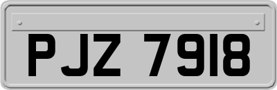 PJZ7918