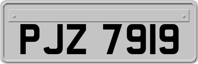 PJZ7919